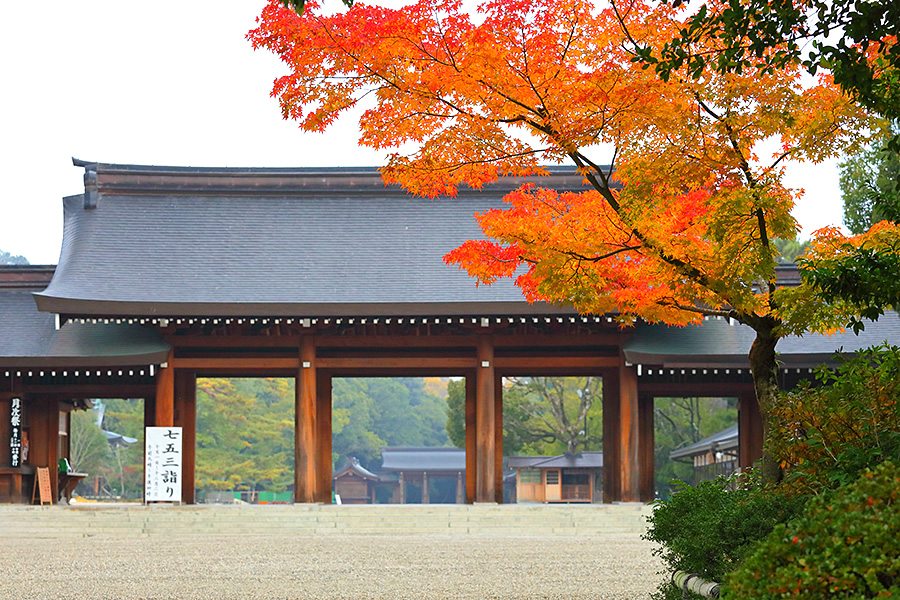 橿原神宮 紅葉