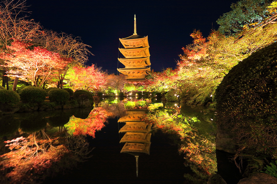 京都 紅葉 ライトアップ