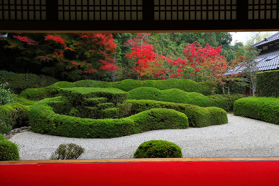 大池寺 紅葉