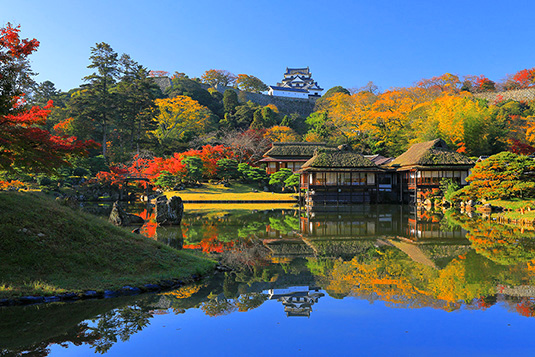 彦根城 紅葉